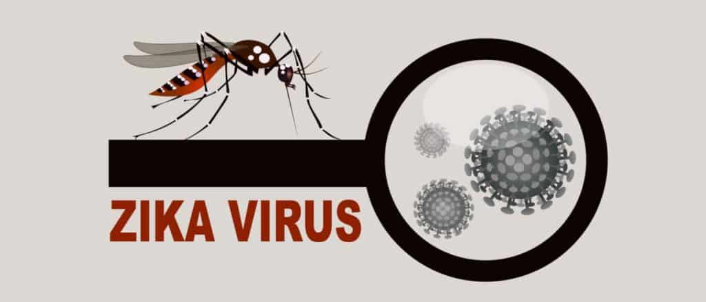 Zika Virus All You Need To Know London Travel Clinic 